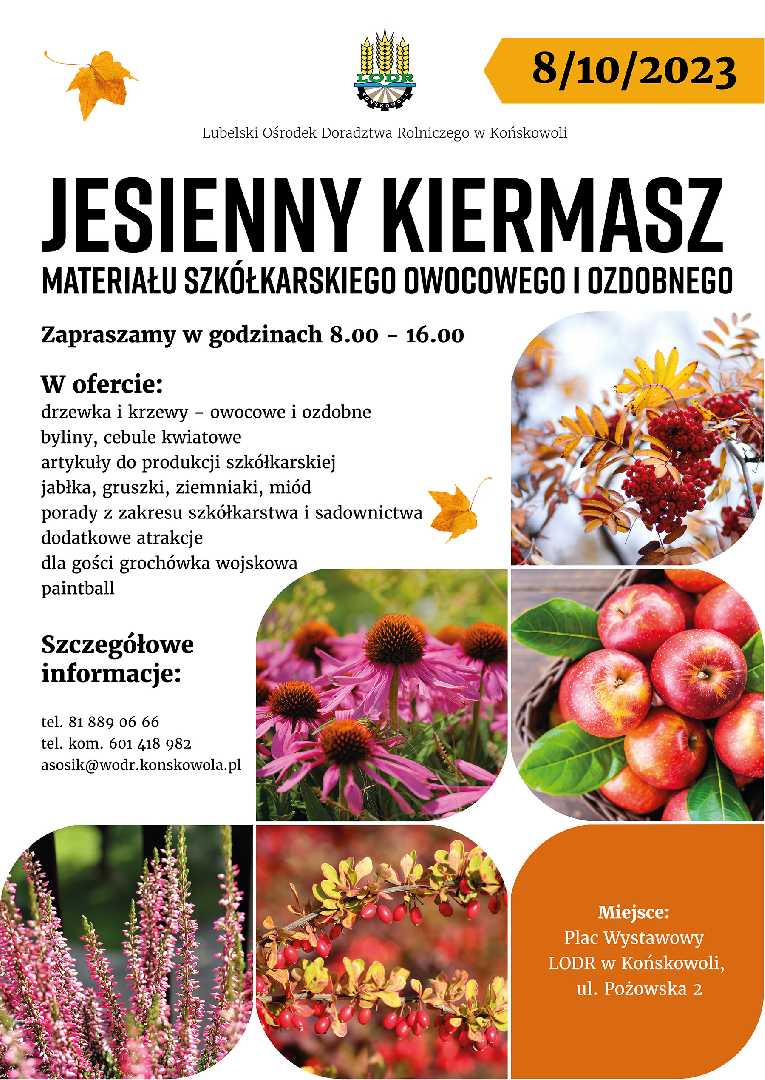 Zapraszamy na jesienny kiermasz