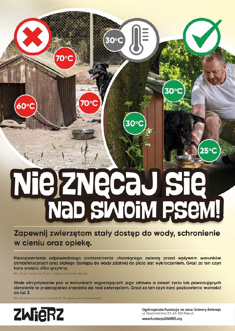 Wysokie temperatury są zagrożeniem nie tylko dla zdrowia ludzi, ale także dla zwierząt.