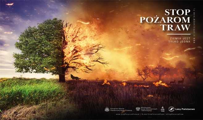 WYPALANIE TRAW I POZOSTAŁOŚCI ROŚLINNYCH