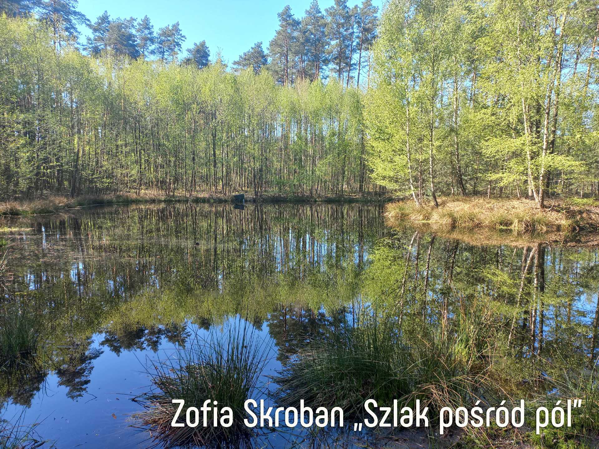PIĘKNO GMINY TARNAWATKA W KADRZE